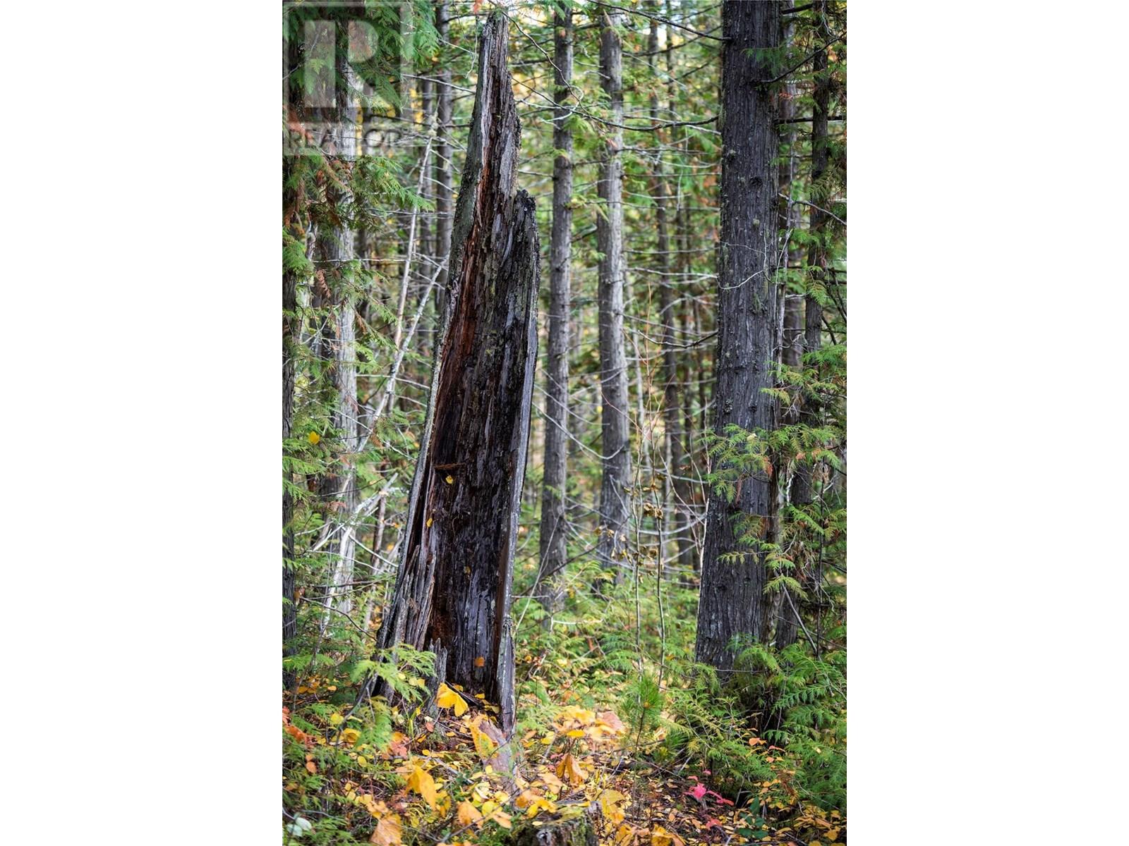 500 Burma Road Lot# 20, Fernie, British Columbia  V0B 1M0 - Photo 15 - 10355186
