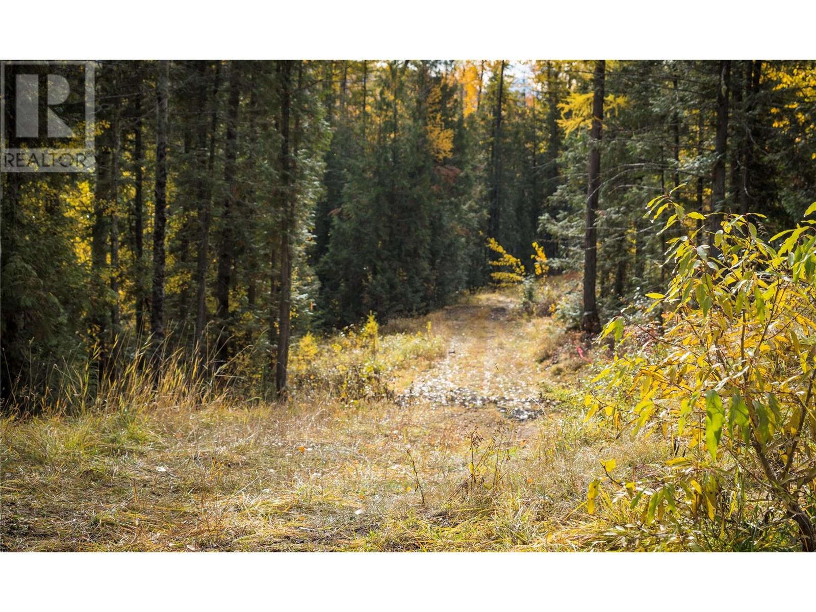 500 Burma Road Lot# 20, Fernie, British Columbia  V0B 1M0 - Photo 20 - 10355186