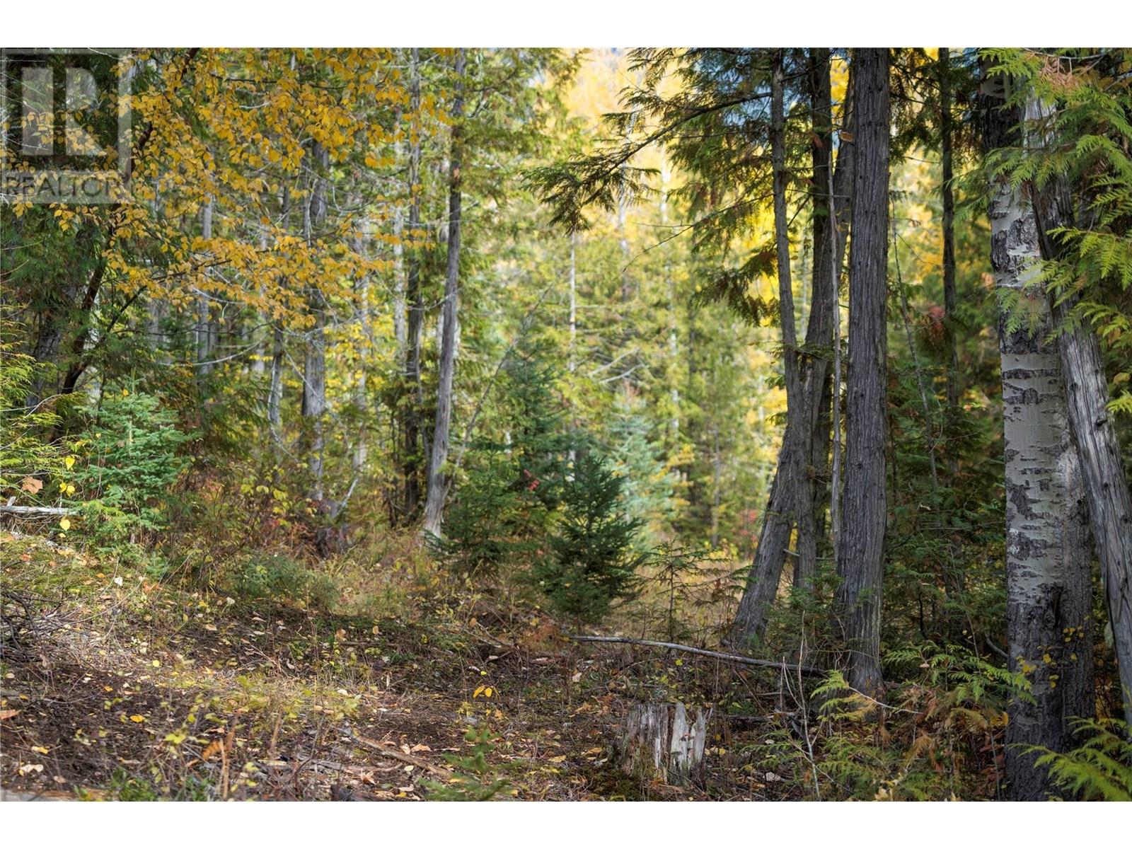 500 Burma Road Lot# 20, Fernie, British Columbia  V0B 1M0 - Photo 35 - 10355186