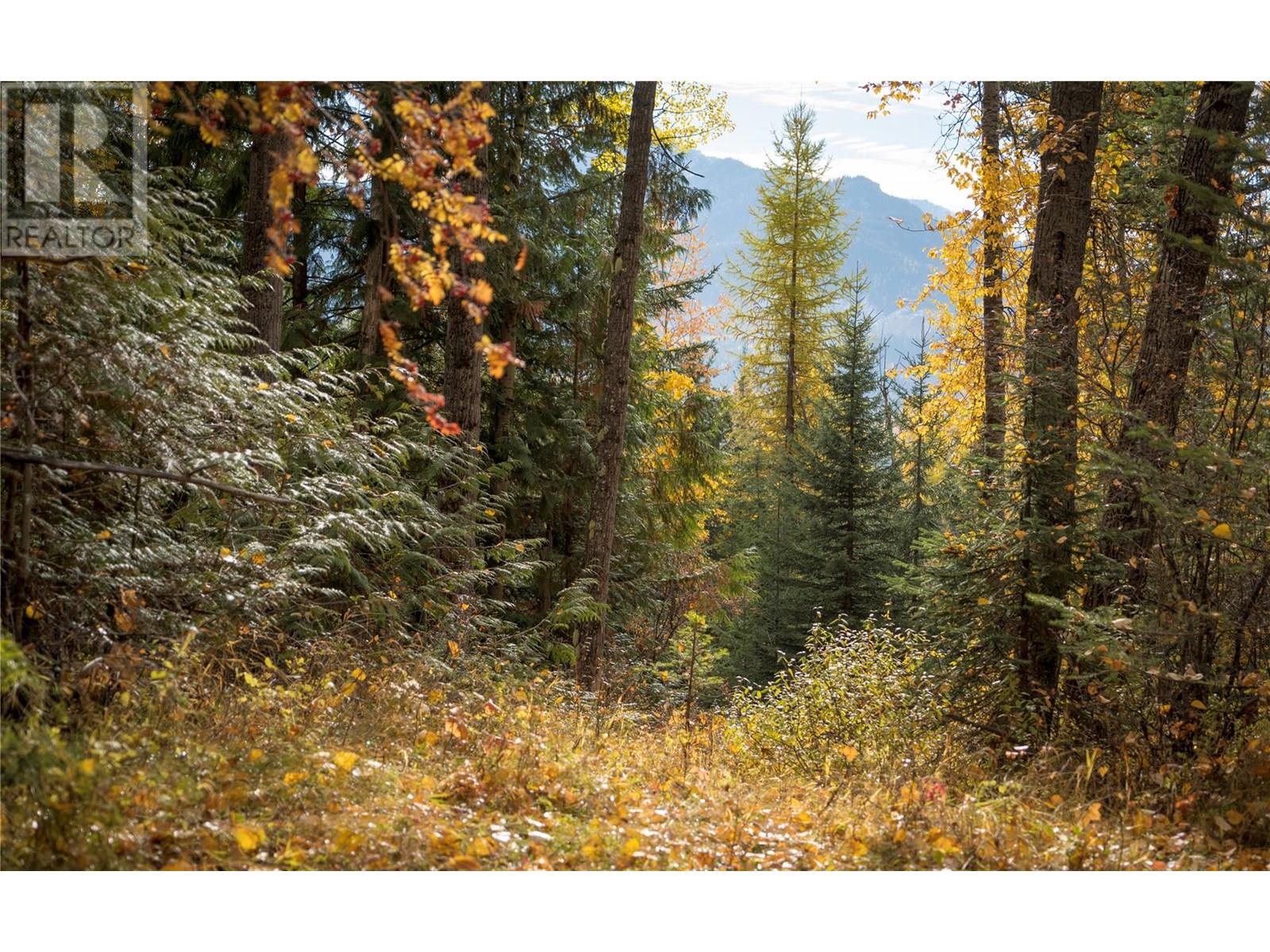 500 Burma Road Lot# 20, Fernie, British Columbia  V0B 1M0 - Photo 31 - 10355186