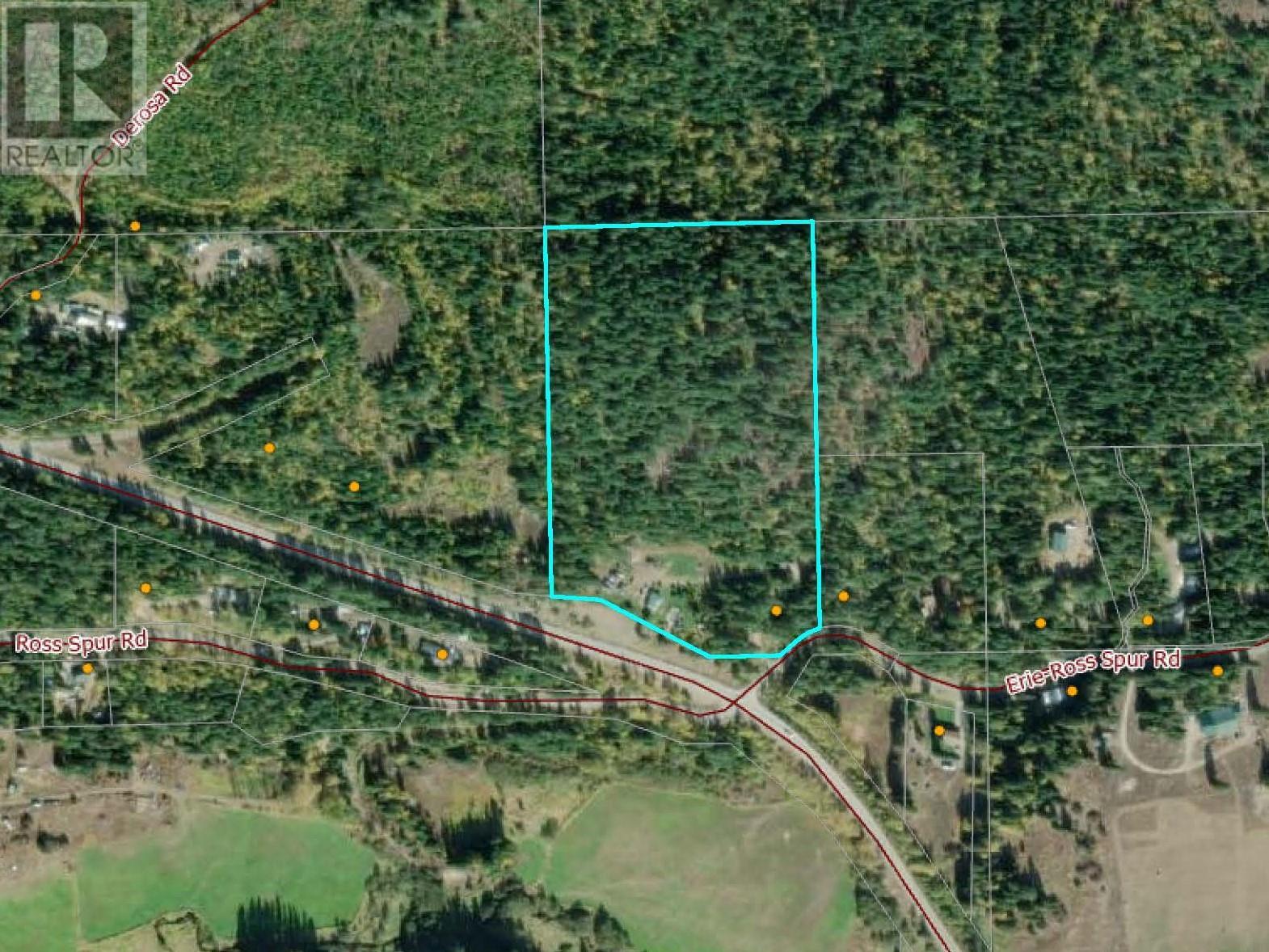 4405 Erie Ross-Spur Road, Salmo, British Columbia  V0G 1L1 - Photo 2 - 10354021