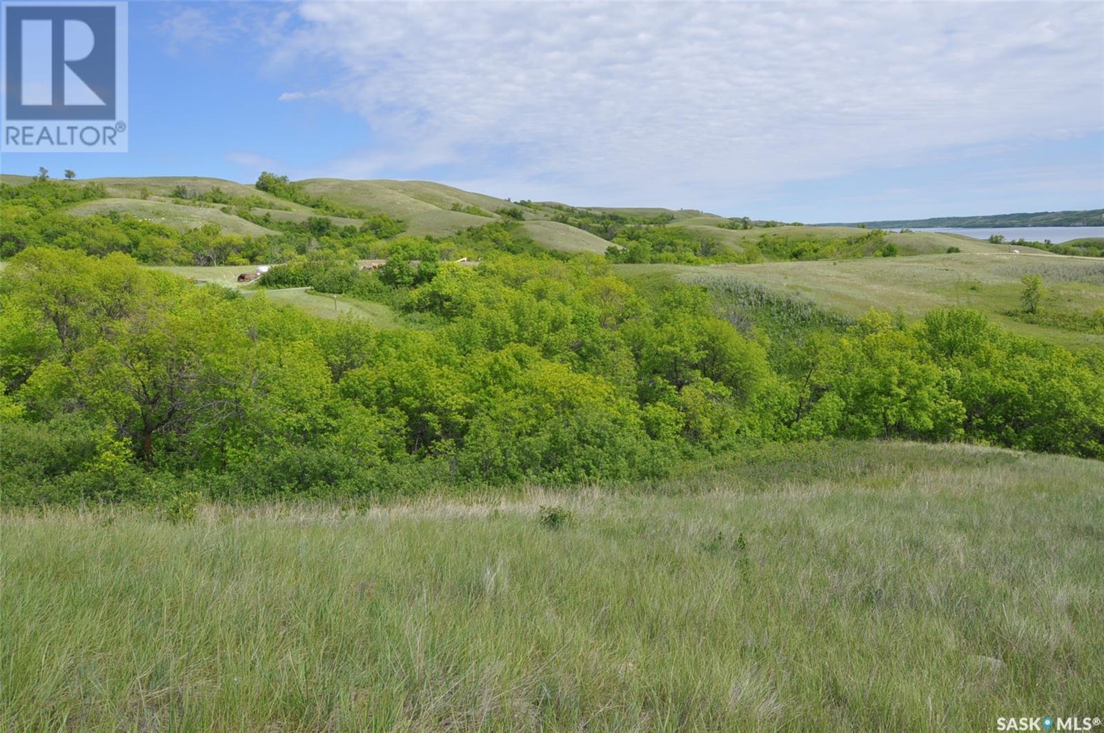 X Kitchen Road, Dufferin Rm No. 190, Saskatchewan  S0H 0S0 - Photo 12 - SK014057