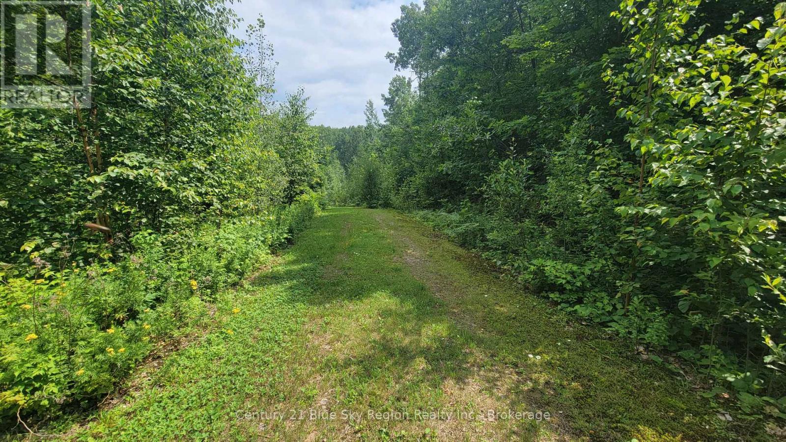 Pt Lot 6 Con 9 Genesee Lake Road, Powassan, Ontario  P0H 1Z0 - Photo 11 - X12313366