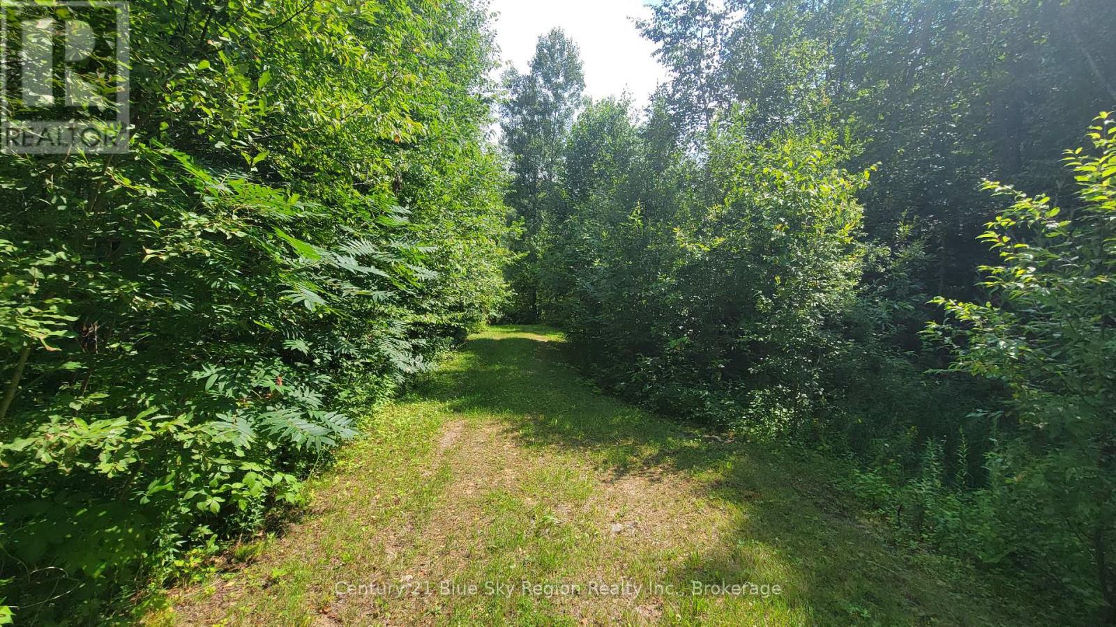 Pt Lot 6 Con 9 Genesee Lake Road, Powassan, Ontario  P0H 1Z0 - Photo 13 - X12313366