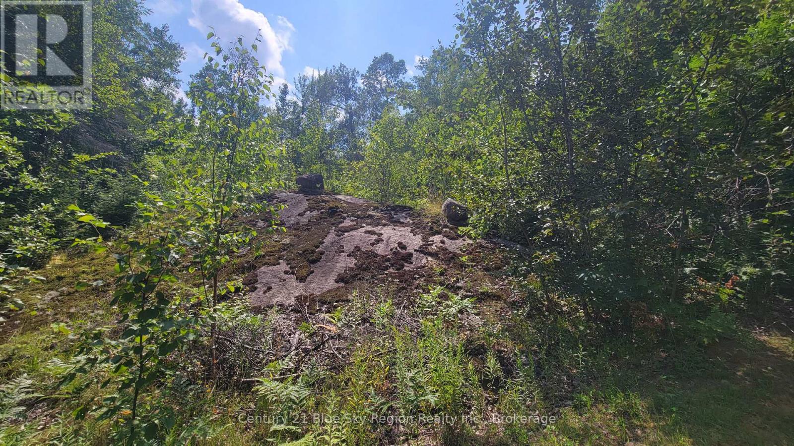 Pt Lot 6 Con 9 Genesee Lake Road, Powassan, Ontario  P0H 1Z0 - Photo 16 - X12313366