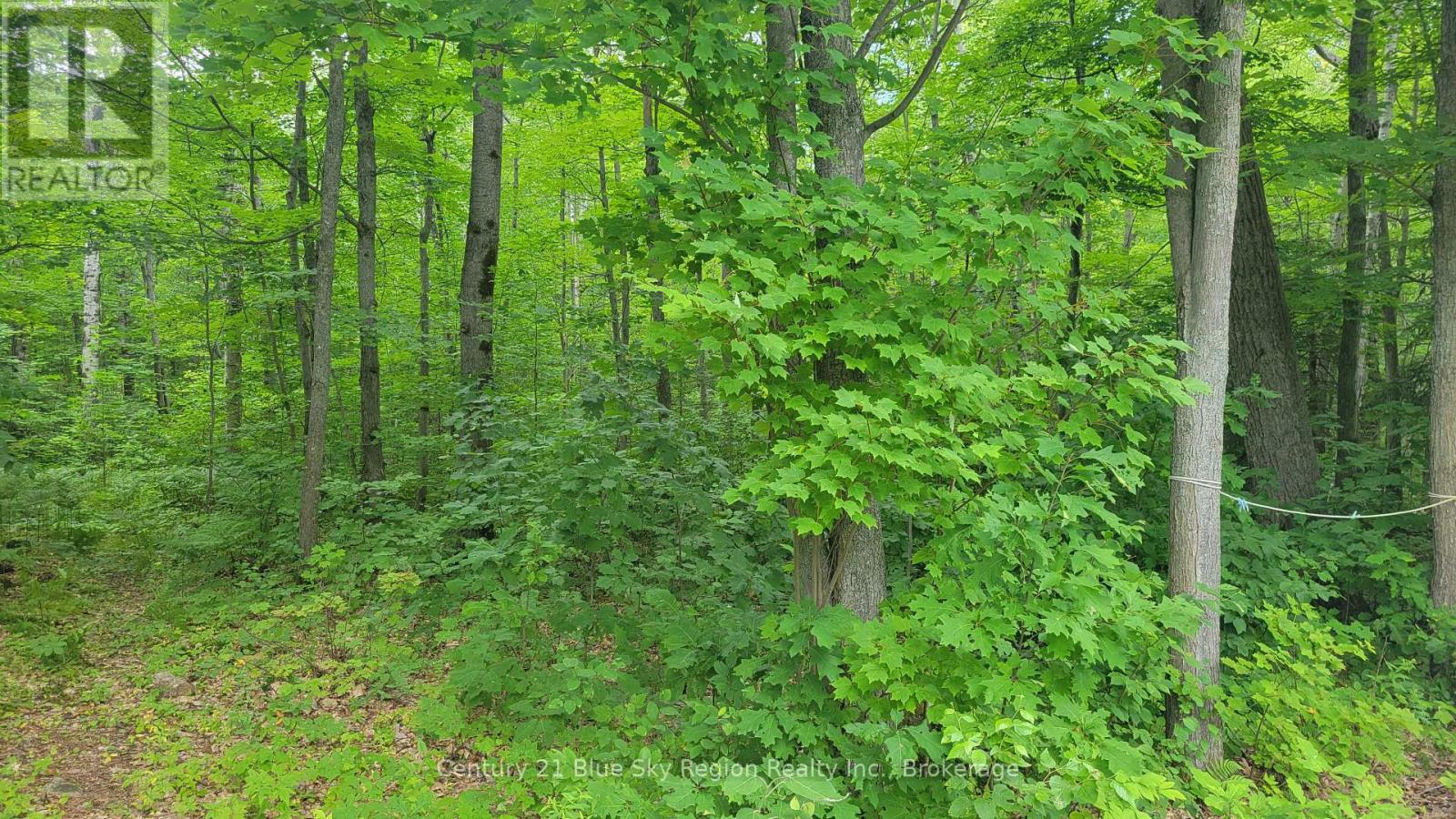 Pt Lot 6 Con 9 Genesee Lake Road, Powassan, Ontario  P0H 1Z0 - Photo 19 - X12313366