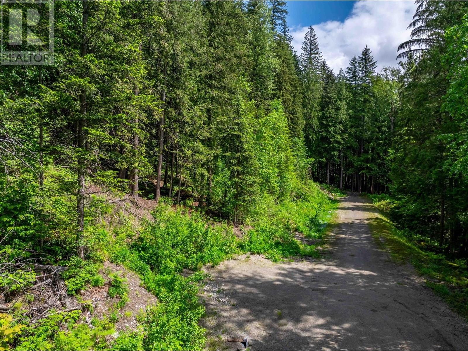 714 Cedar Street, Revelstoke, British Columbia  V0E 2S0 - Photo 4 - 10348586