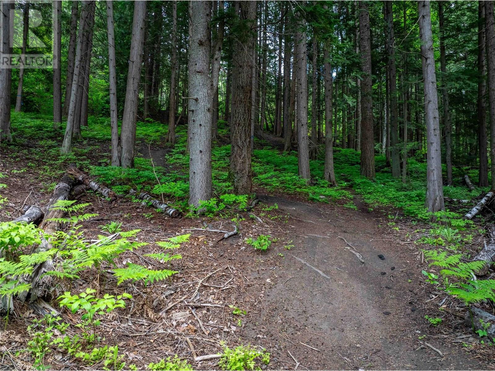 714 Cedar Street, Revelstoke, British Columbia  V0E 2S0 - Photo 12 - 10348586