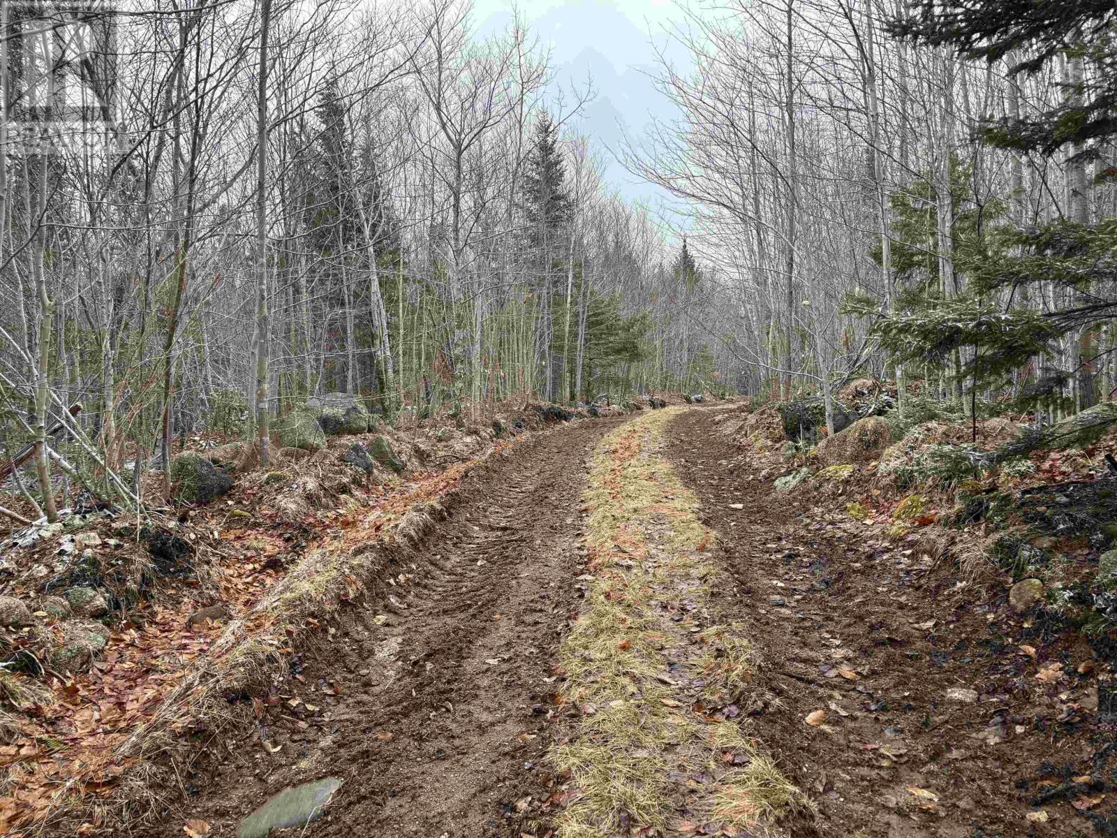 Lot (Pid 05046693) Victory Road, Victory, Nova Scotia  B0S 1A0 - Photo 15 - 202515937