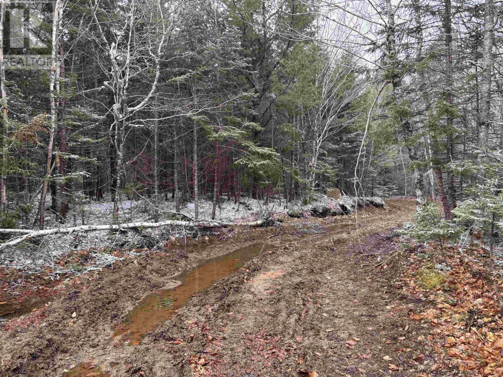 Lot (Pid 05046693) Victory Road, Victory, Nova Scotia  B0S 1A0 - Photo 10 - 202515937
