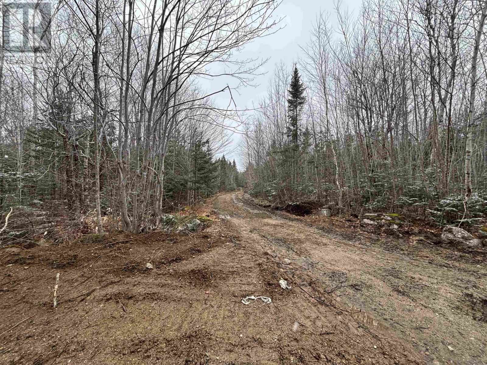 Lot (Pid 05046693) Victory Road, Victory, Nova Scotia  B0S 1A0 - Photo 9 - 202515937