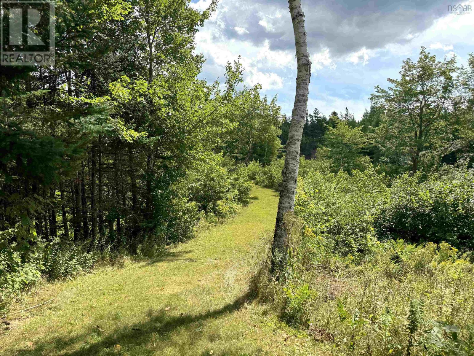 215 Helmuts Lane, Cleveland, Nova Scotia  B0E 1J0 - Photo 41 - 202511602