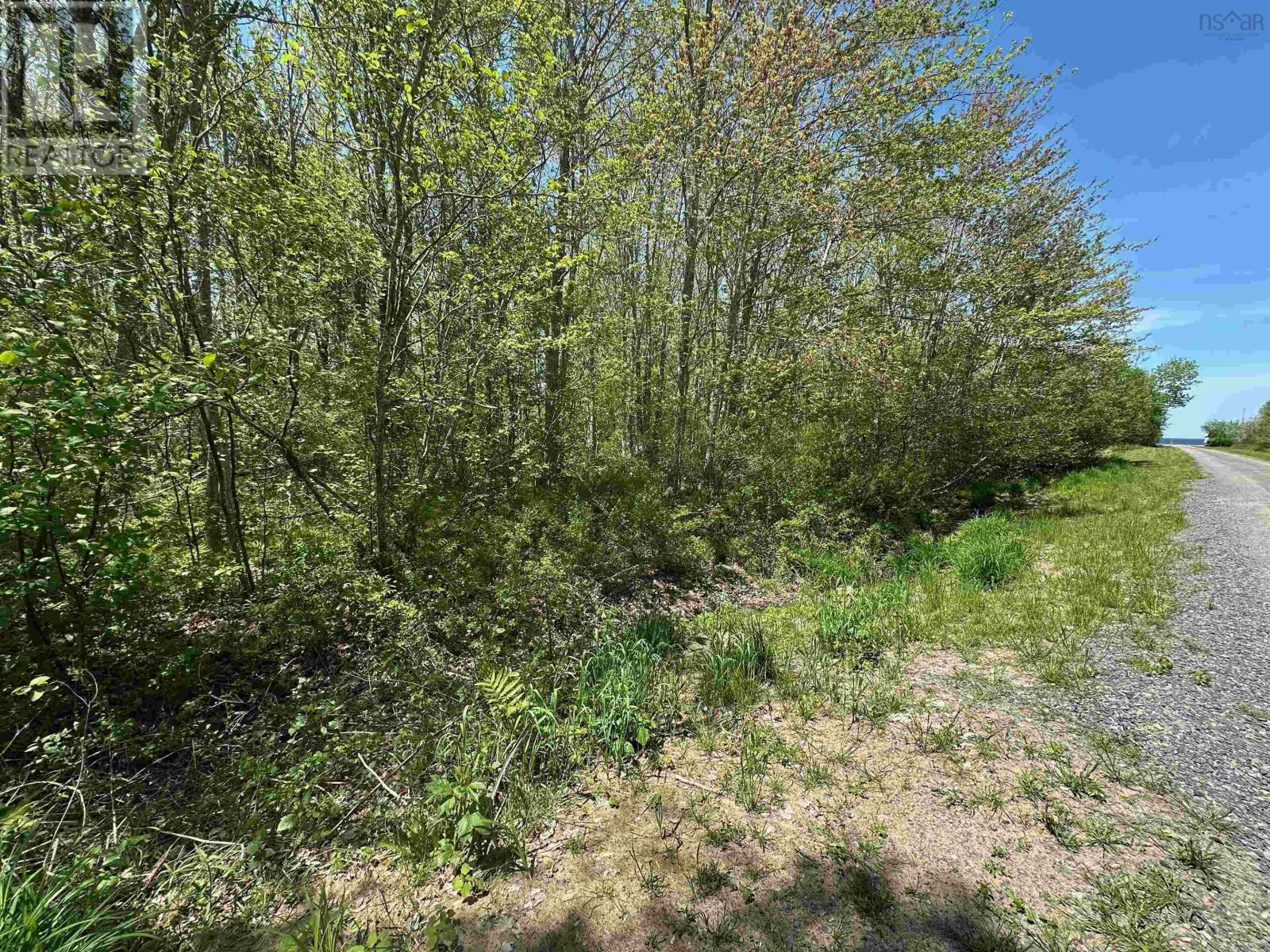 Lot Golden Sands Drive, Malagash, Nova Scotia  B0K 1E0 - Photo 6 - 202512825