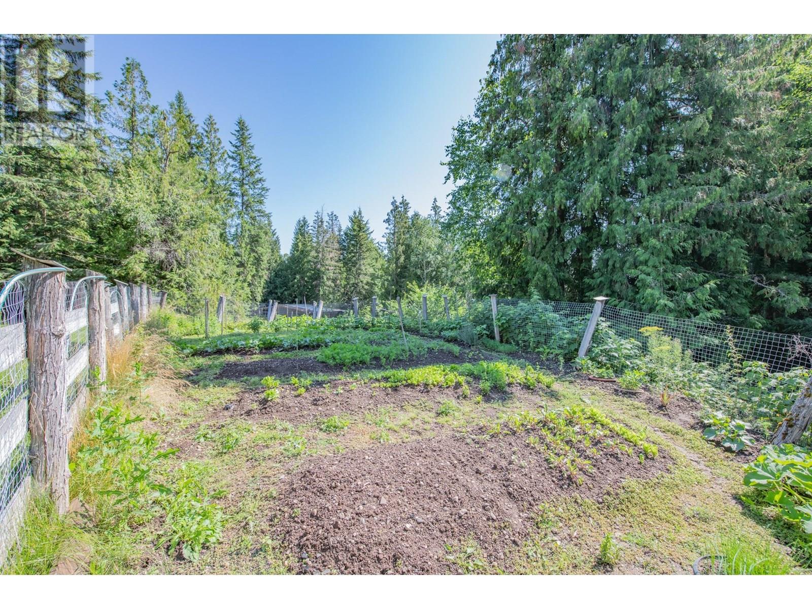 296 Trinity Valley Road, Lumby, British Columbia  V0E 2G4 - Photo 64 - 10357424