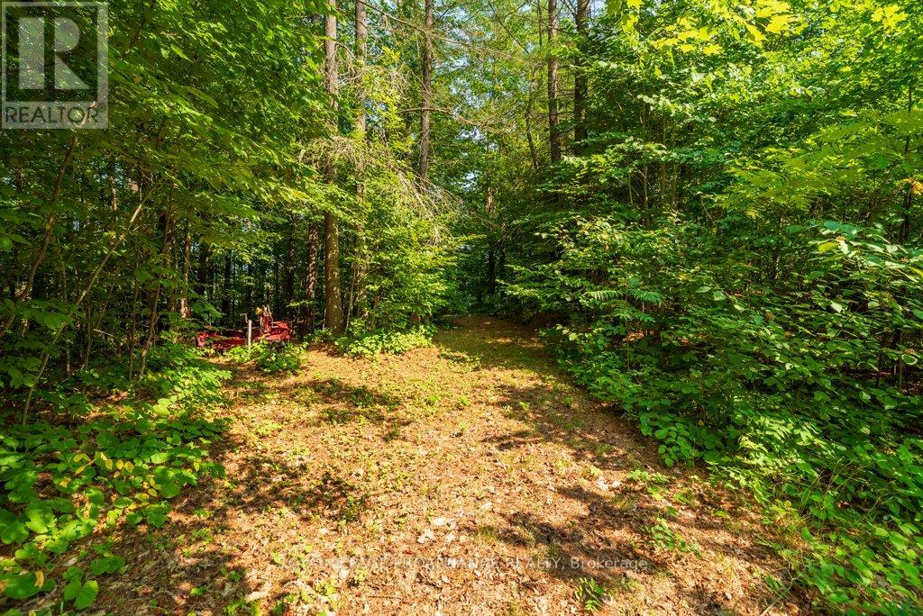 1133b North Star Lane, North Frontenac, Ontario  K0H 1K0 - Photo 43 - X12313631