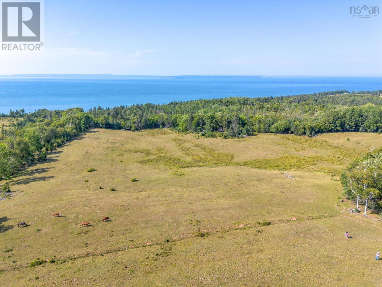 Lot Black Rock Road & Russia Road, Black Rock, Nova Scotia  B0P 1V0 - Photo 16 - 202518926