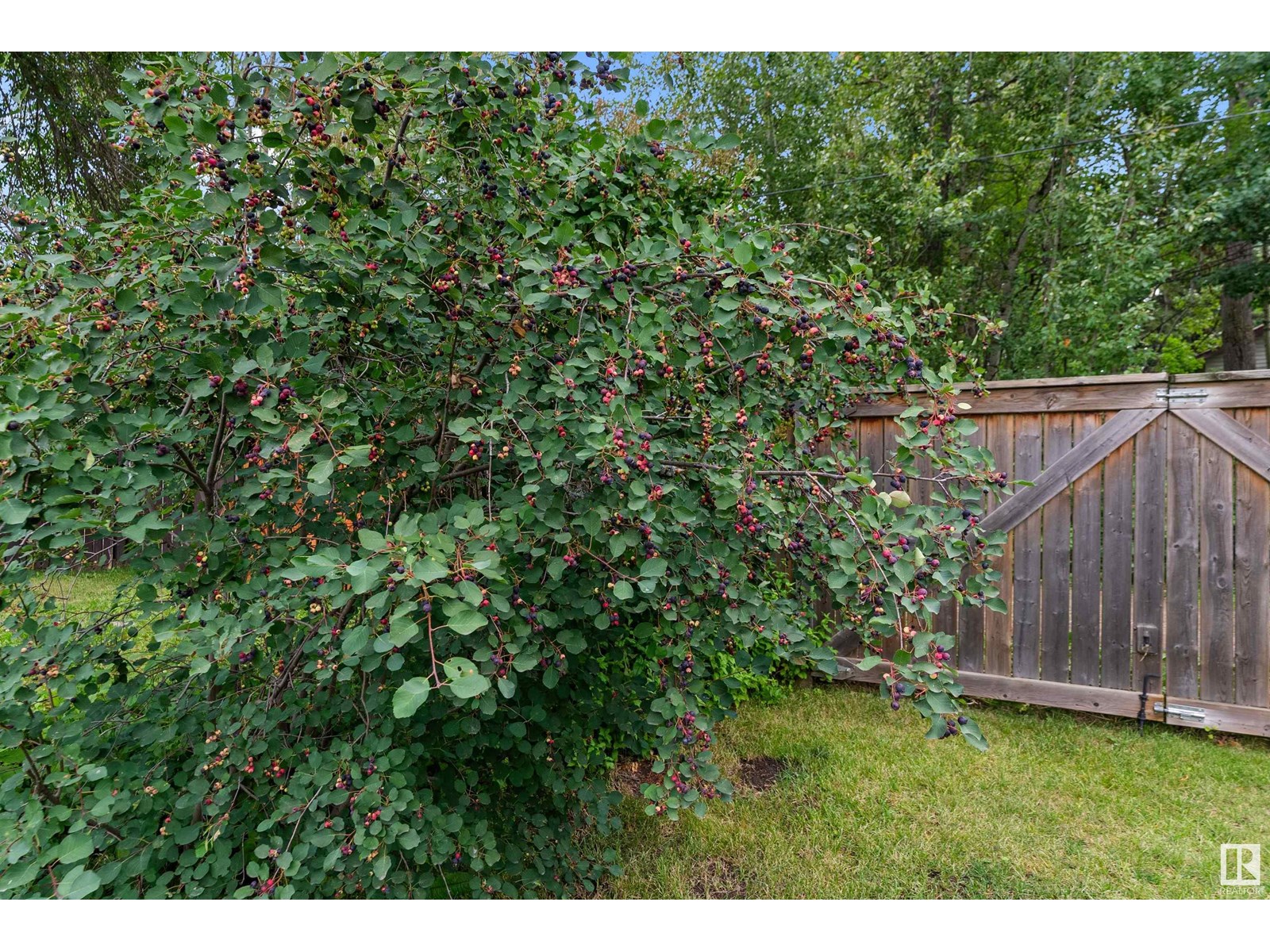 110 1st Av, Rural Wetaskiwin County, Alberta  T0C 1X0 - Photo 58 - E4450201