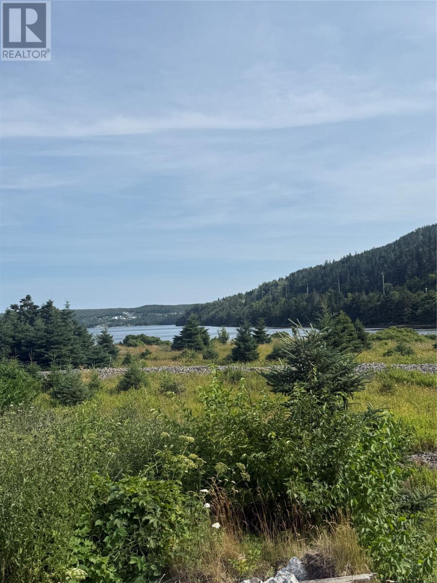 14-16 Tunis Street, Placentia, Newfoundland & Labrador  A0B 2Y0 - Photo 2 - 1288431