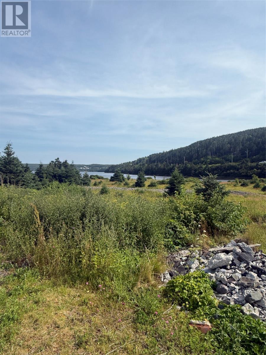 14-16 Tunis Street, Placentia, Newfoundland & Labrador  A0B 2Y0 - Photo 3 - 1288431