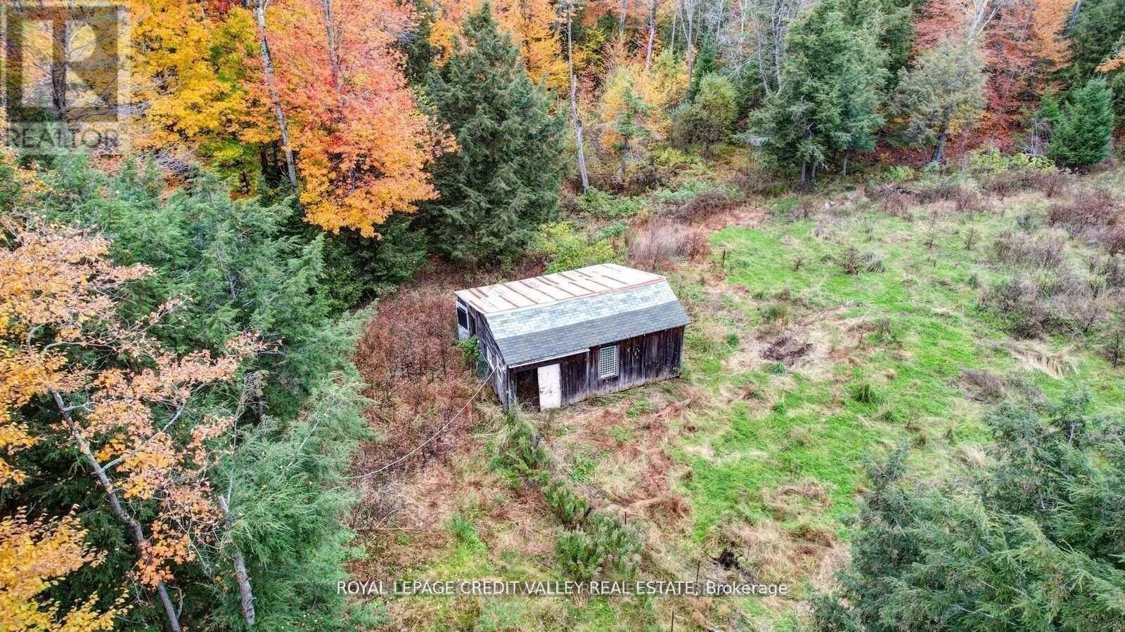 246 Hickey Trail, Hastings Highlands, Ontario  K0L 1C0 - Photo 26 - X12295743