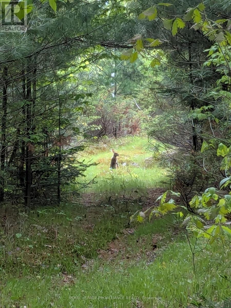 0000 HIGHWAY 7, Addington Highlands, Ontario