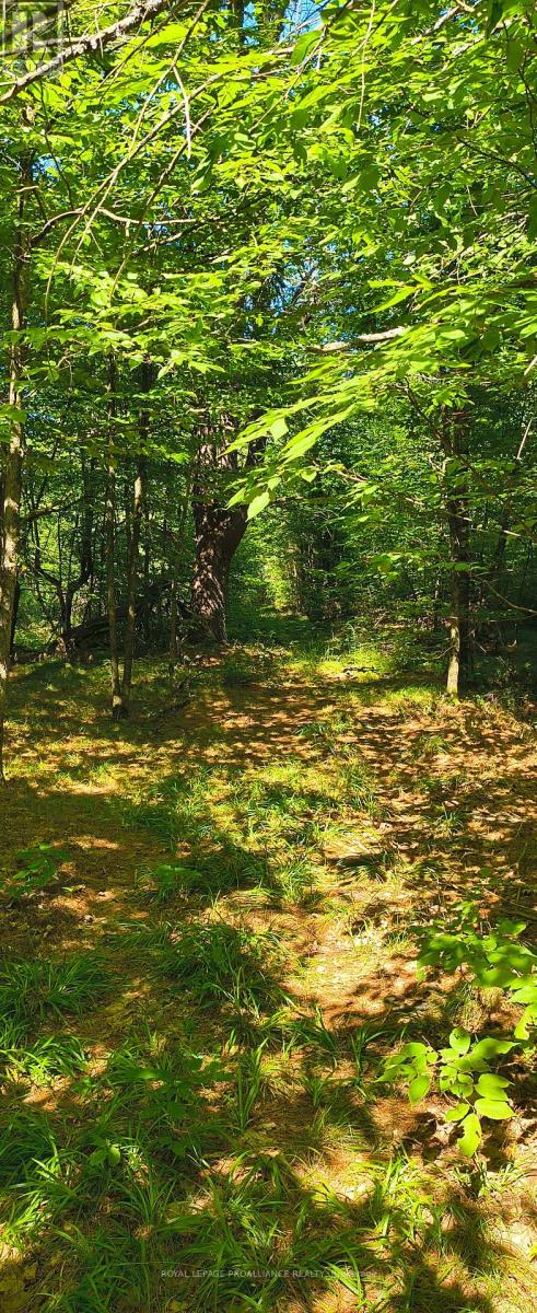 0000 Highway 7, Addington Highlands, Ontario  K0H 1Z0 - Photo 10 - X12313863