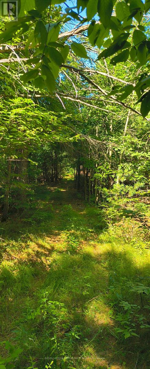 0000 Highway 7, Addington Highlands, Ontario  K0H 1Z0 - Photo 11 - X12313863