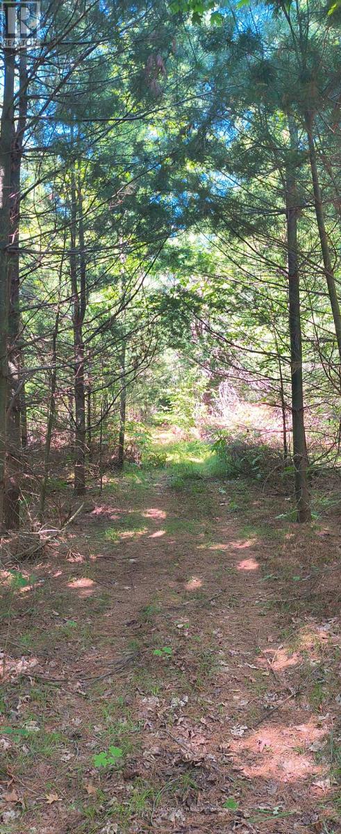 0000 Highway 7, Addington Highlands, Ontario  K0H 1Z0 - Photo 12 - X12313863