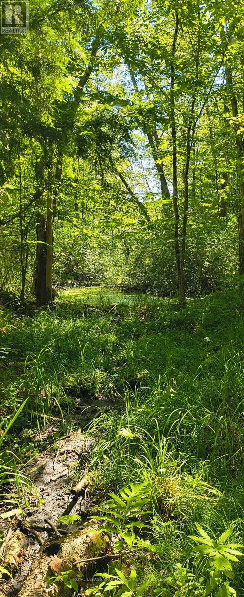 0000 Highway 7, Addington Highlands, Ontario  K0H 1Z0 - Photo 14 - X12313863