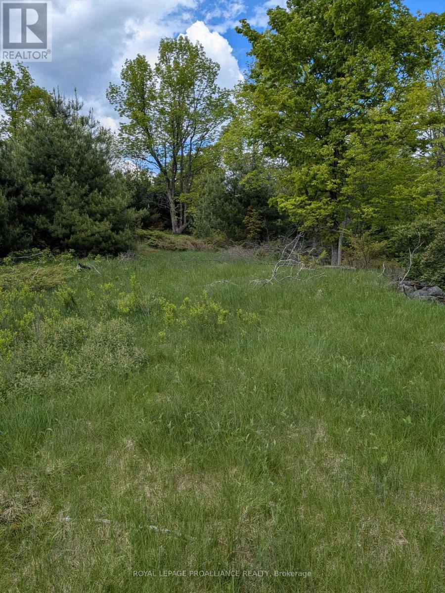 0000 Highway 7, Addington Highlands, Ontario  K0H 1Z0 - Photo 15 - X12313863