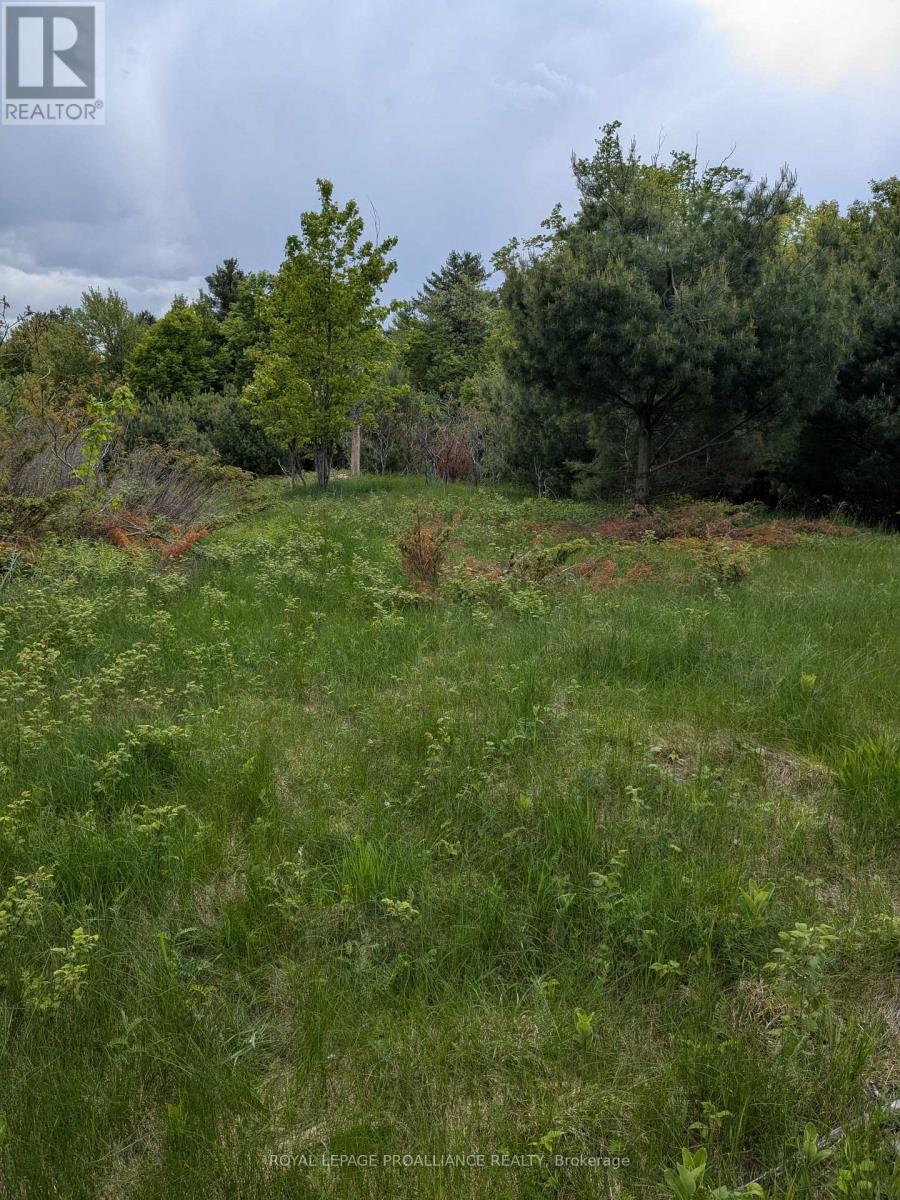 0000 Highway 7, Addington Highlands, Ontario  K0H 1Z0 - Photo 16 - X12313863