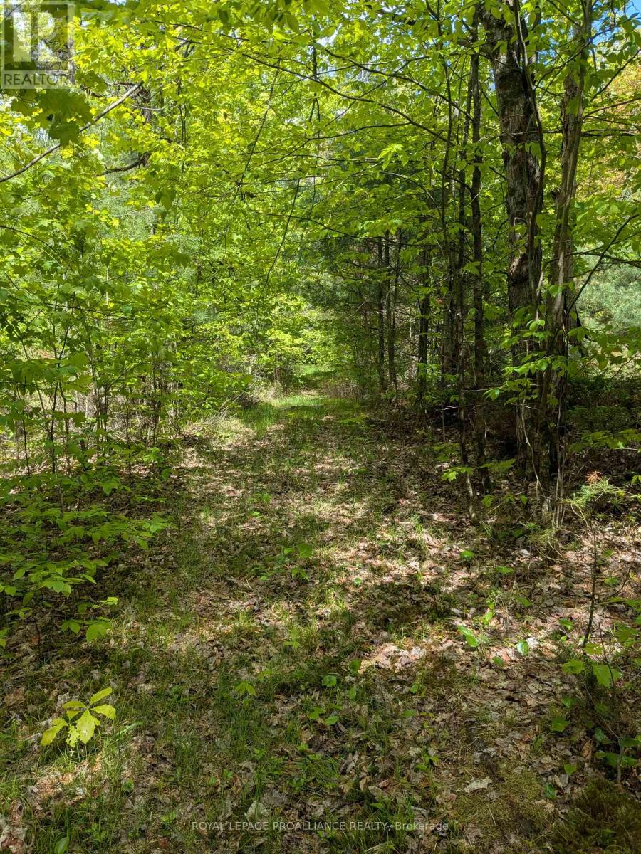 0000 Highway 7, Addington Highlands, Ontario  K0H 1Z0 - Photo 19 - X12313863