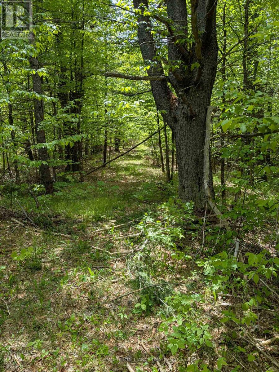 0000 Highway 7, Addington Highlands, Ontario  K0H 1Z0 - Photo 20 - X12313863