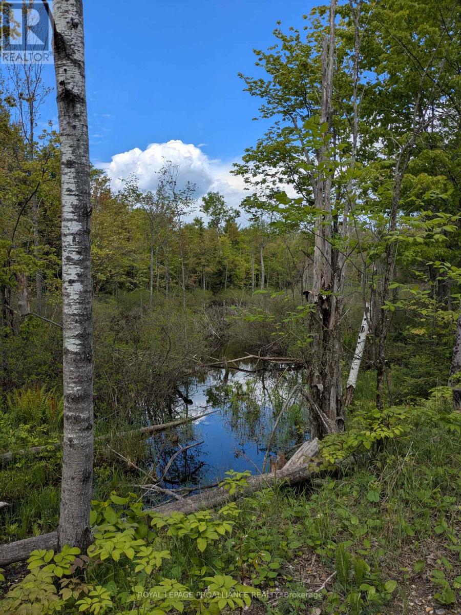 0000 Highway 7, Addington Highlands, Ontario  K0H 1Z0 - Photo 21 - X12313863