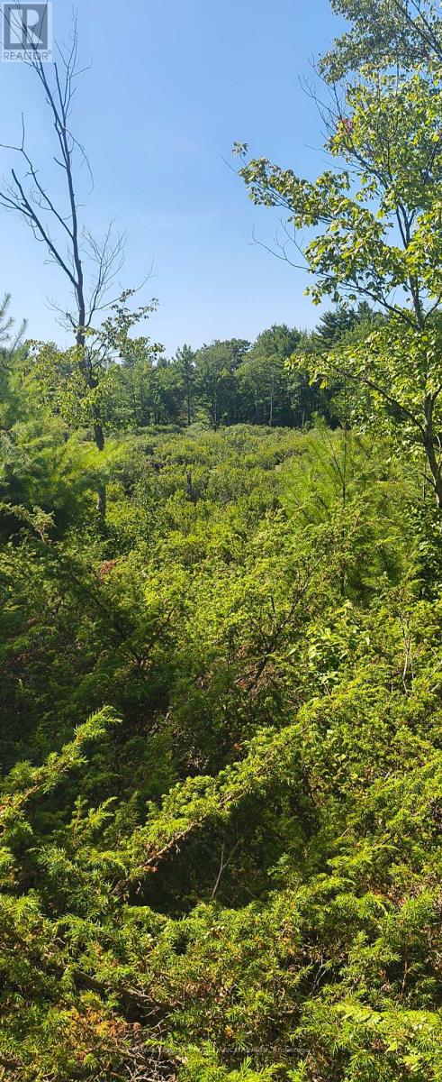 0000 Highway 7, Addington Highlands, Ontario  K0H 1Z0 - Photo 22 - X12313863