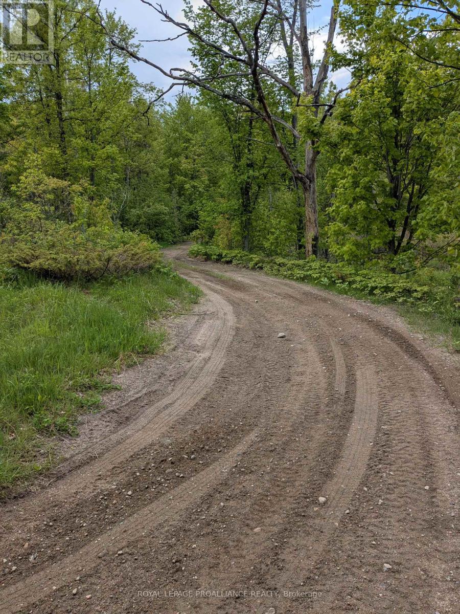 0000 Highway 7, Addington Highlands, Ontario  K0H 1Z0 - Photo 25 - X12313863