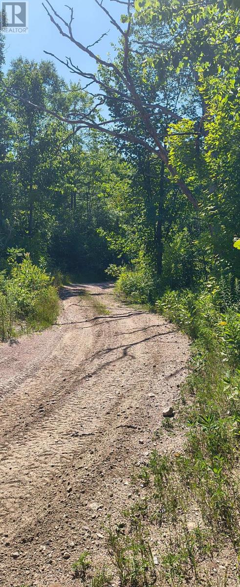 0000 Highway 7, Addington Highlands, Ontario  K0H 1Z0 - Photo 26 - X12313863