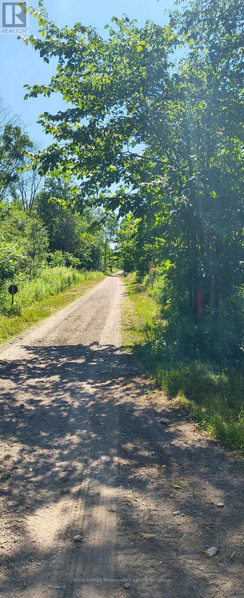 0000 Highway 7, Addington Highlands, Ontario  K0H 1Z0 - Photo 27 - X12313863