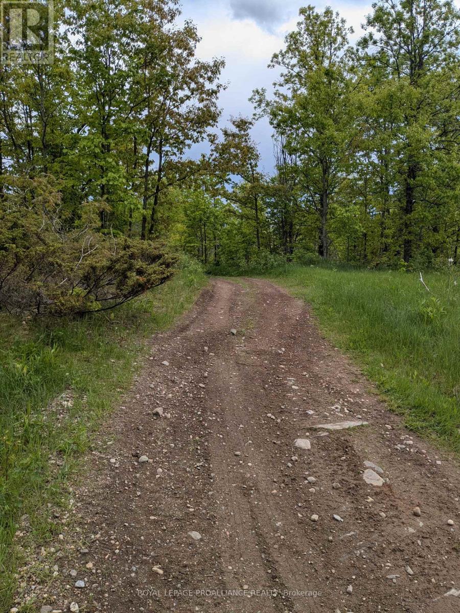 0000 Highway 7, Addington Highlands, Ontario  K0H 1Z0 - Photo 28 - X12313863