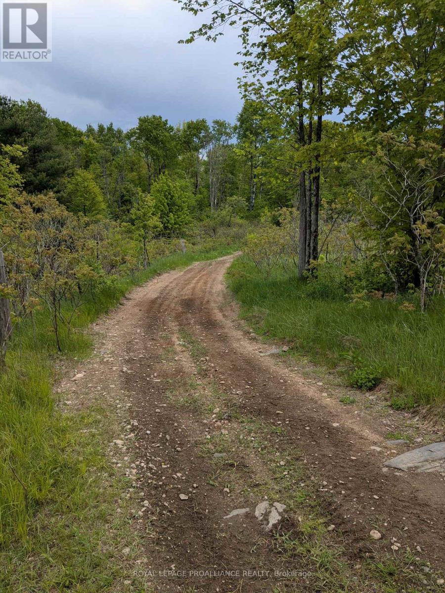 0000 Highway 7, Addington Highlands, Ontario  K0H 1Z0 - Photo 29 - X12313863