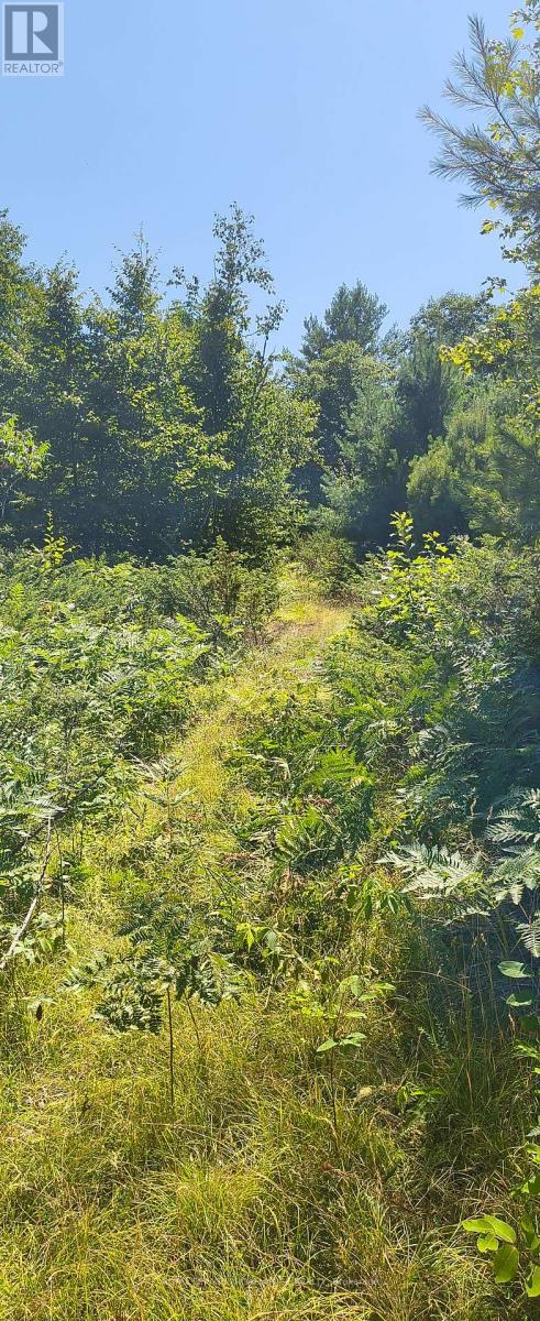 0000 Highway 7, Addington Highlands, Ontario  K0H 1Z0 - Photo 3 - X12313863