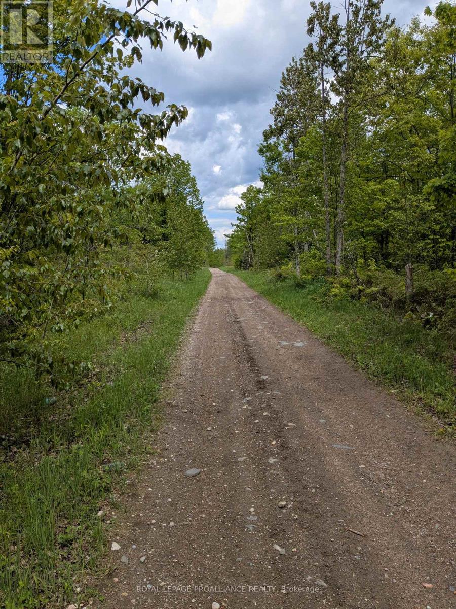 0000 Highway 7, Addington Highlands, Ontario  K0H 1Z0 - Photo 30 - X12313863