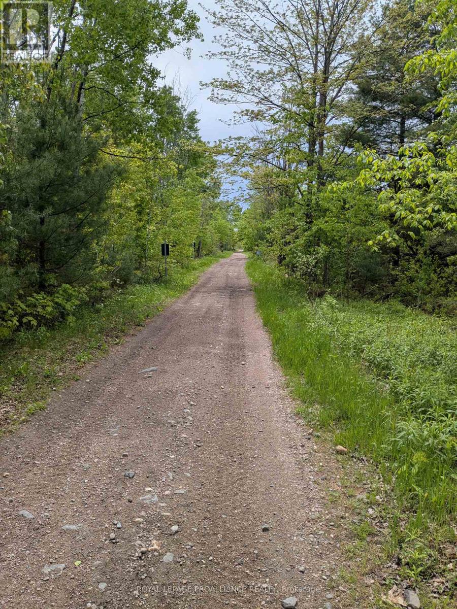 0000 Highway 7, Addington Highlands, Ontario  K0H 1Z0 - Photo 31 - X12313863