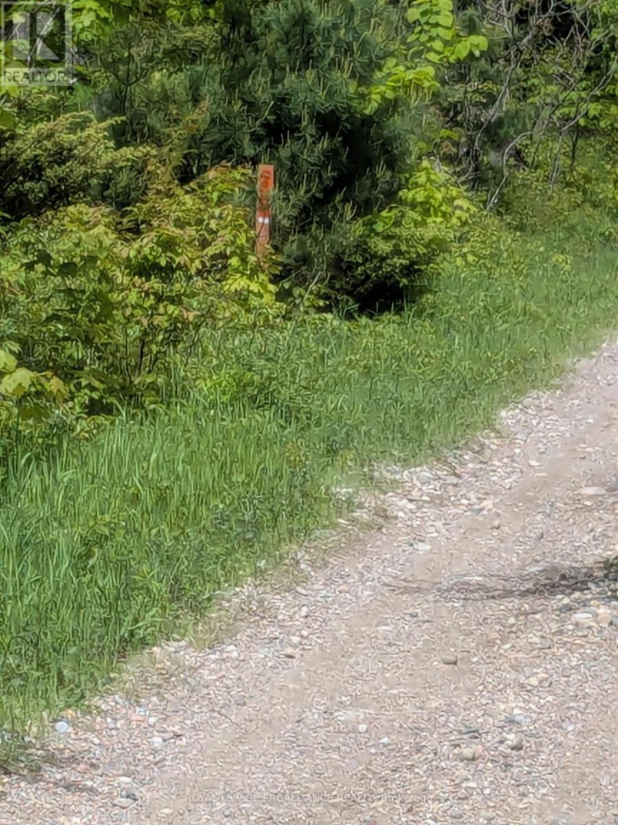 0000 Highway 7, Addington Highlands, Ontario  K0H 1Z0 - Photo 32 - X12313863