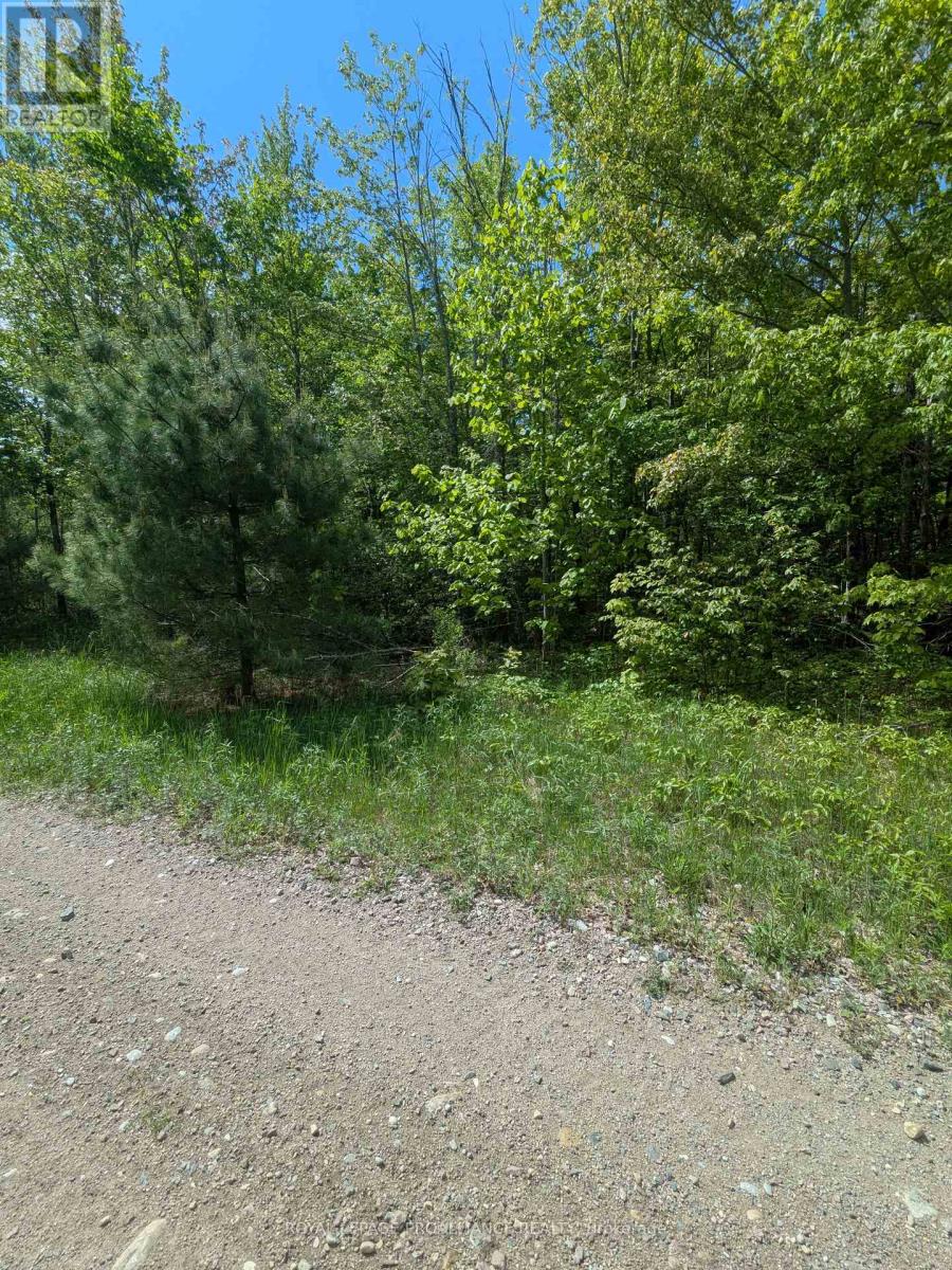 0000 Highway 7, Addington Highlands, Ontario  K0H 1Z0 - Photo 33 - X12313863