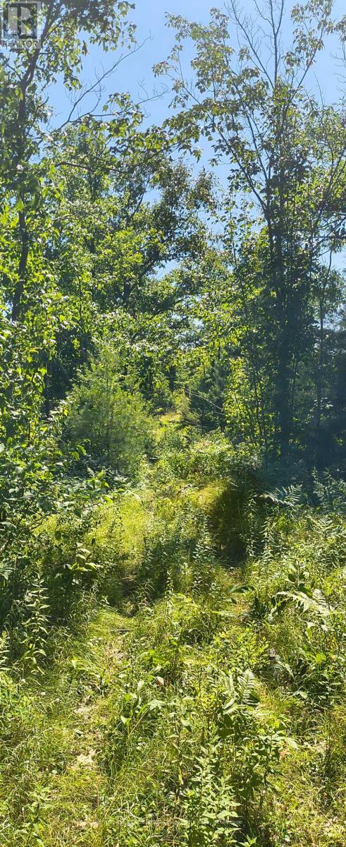 0000 Highway 7, Addington Highlands, Ontario  K0H 1Z0 - Photo 4 - X12313863