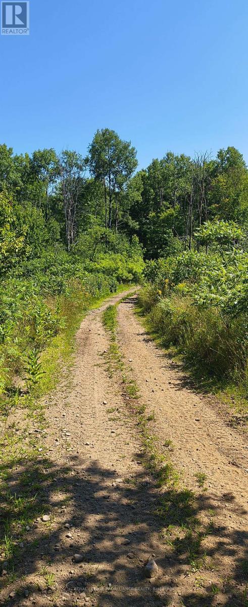 0000 Highway 7, Addington Highlands, Ontario  K0H 1Z0 - Photo 5 - X12313863