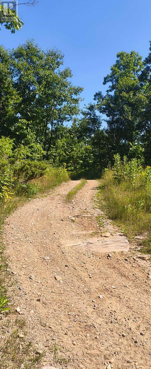 0000 Highway 7, Addington Highlands, Ontario  K0H 1Z0 - Photo 6 - X12313863