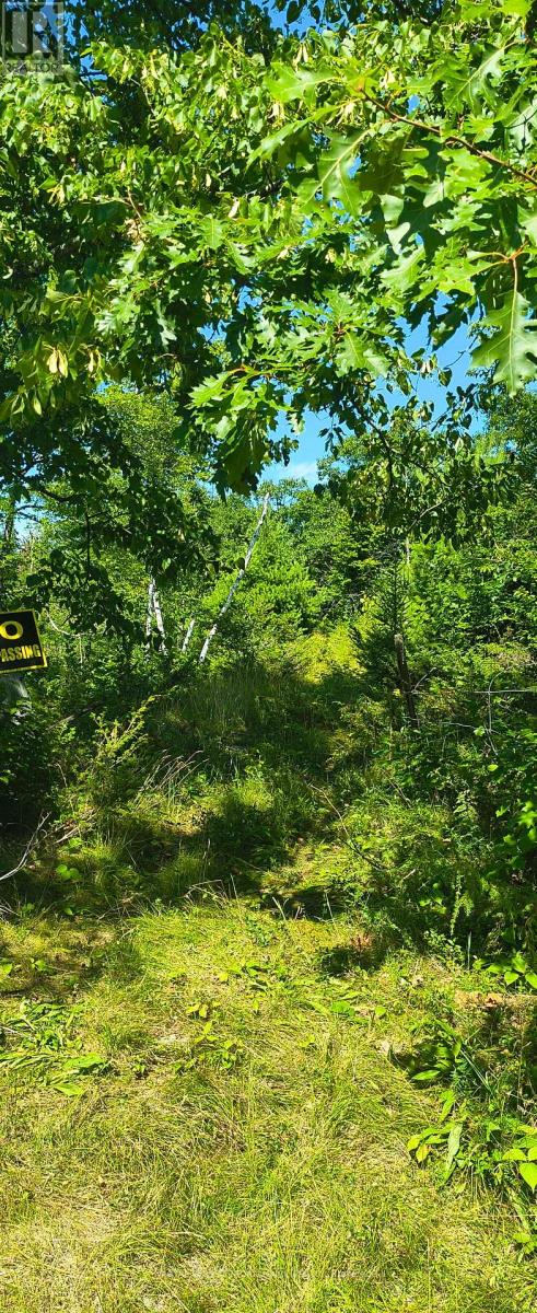 0000 Highway 7, Addington Highlands, Ontario  K0H 1Z0 - Photo 7 - X12313863