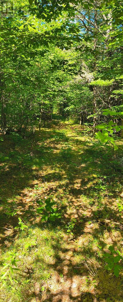 0000 Highway 7, Addington Highlands, Ontario  K0H 1Z0 - Photo 9 - X12313863